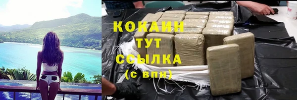 гашик Алзамай