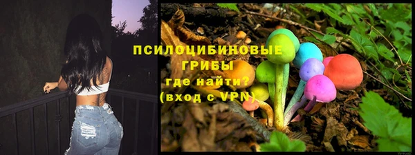 гашик Алзамай