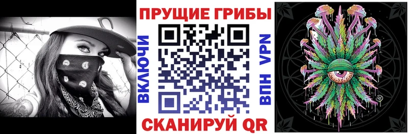 Псилоцибиновые грибы Psilocybe купить Камешково